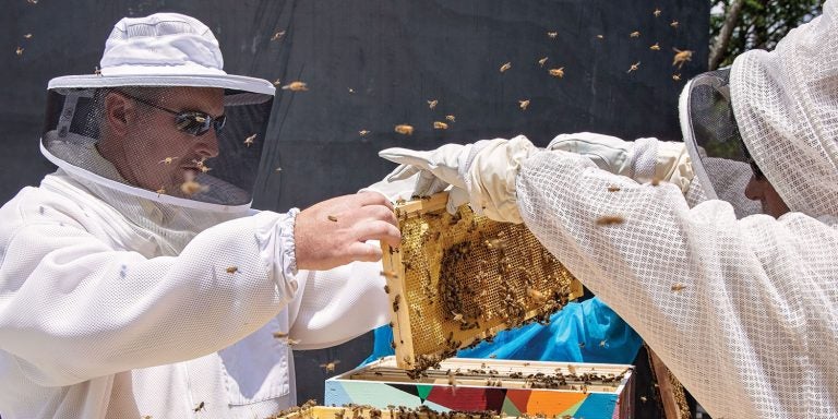 From left, Will Johnson of All American Bee Company in New Bern and Dale Aycock, a retired ECU staff member, prepare beehives for installation on the Health Sciences Campus on May 20.