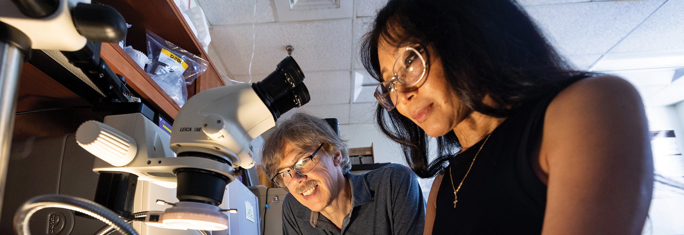 Alexander Murashov and Elena Pak, his wife and research partner, study the effects of ancestral diet in his lab in the Brody Medical Sciences Building.
