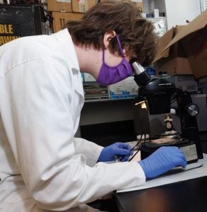 Daniel Reed looking through a microscope.