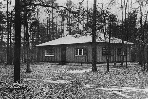 A black and white image of a rustic cabin nestled among tall trees in a serene woodland setting.